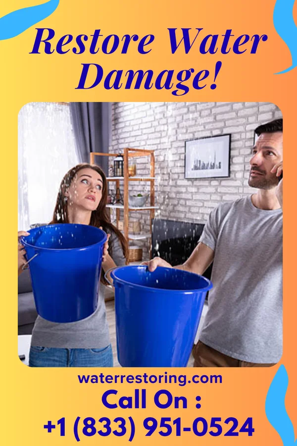 water restoration Superior Damage Restoration Timber Pines