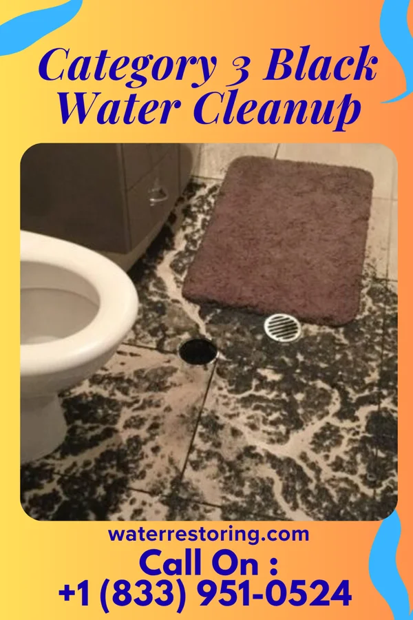 Category 3 Black Water Cleanup in Timber Pines, FL